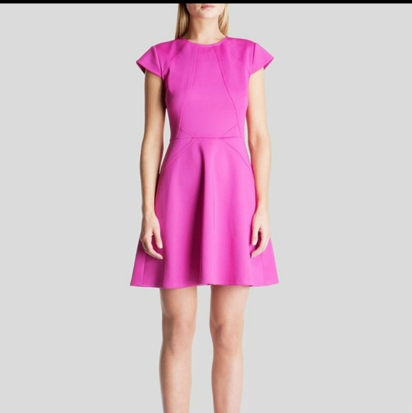 Ted Baker Pink Cap Sleeve Skater Dress - Picture 2 of 8